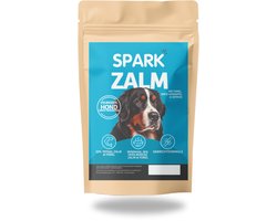 Spark - Volwassen Hondenbrokken - Groot Hondenras - Zalm met Forel, Zoete Aardappel & Asperge - Hypoallergeen - Graanvrij - 2KG