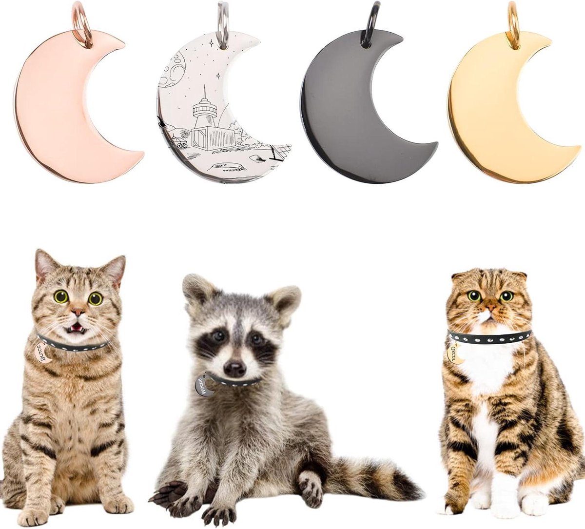 Allecto Plus - 4 stuks Dog Tags van roestvrij staal voor honden en katten - Gepersonaliseerd en anti-verloren - Geschikt voor grote en kleine huisdieren