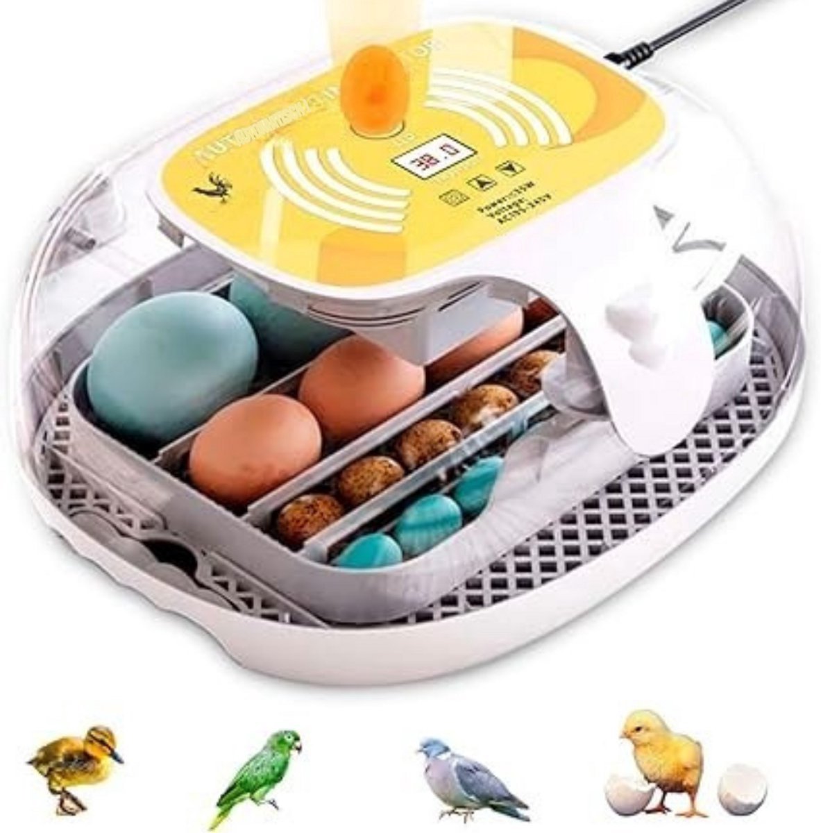 Thuys – Broedmachine Automatisch – Voor Eieren – Voor Kippen – Duidelijk – 37cm x 34cm x 19cm