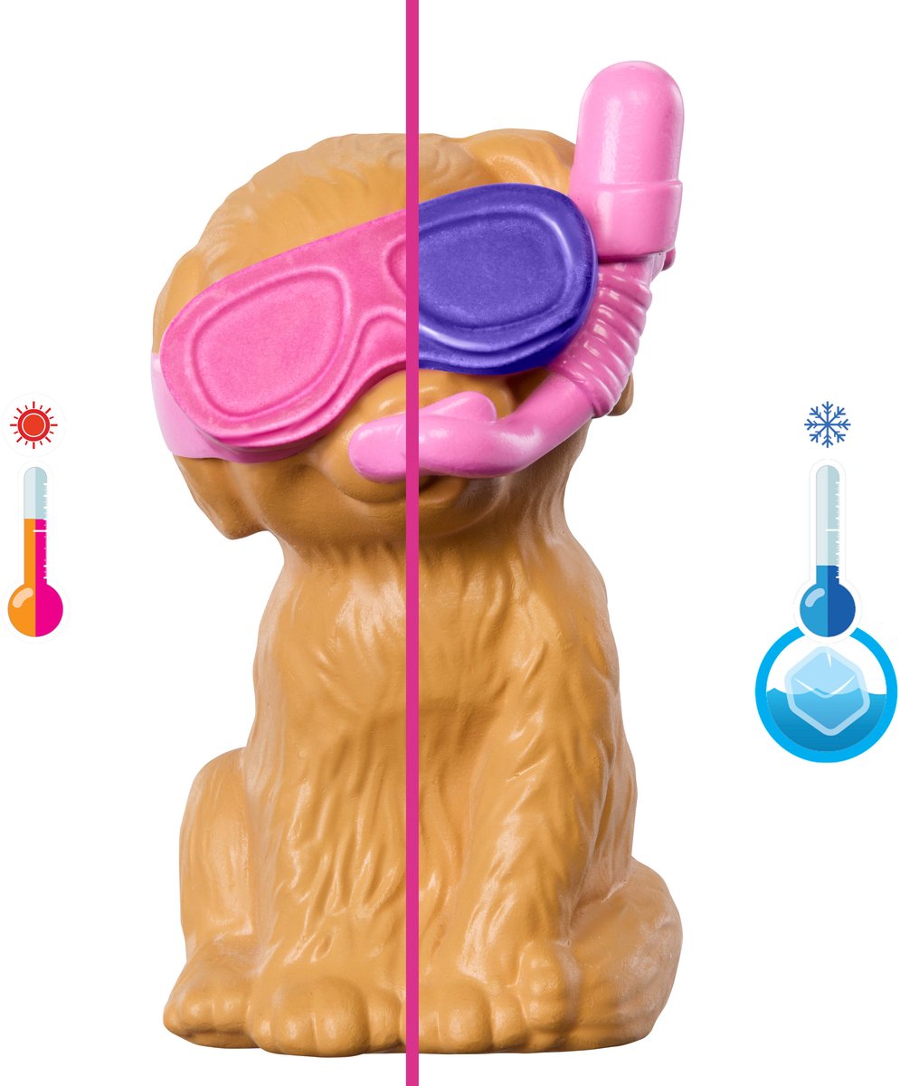 Barbie Zwemfeestje voor Puppy's – Speelset met Glijbaan & Hartvormig Zwembad — afbeelding 3