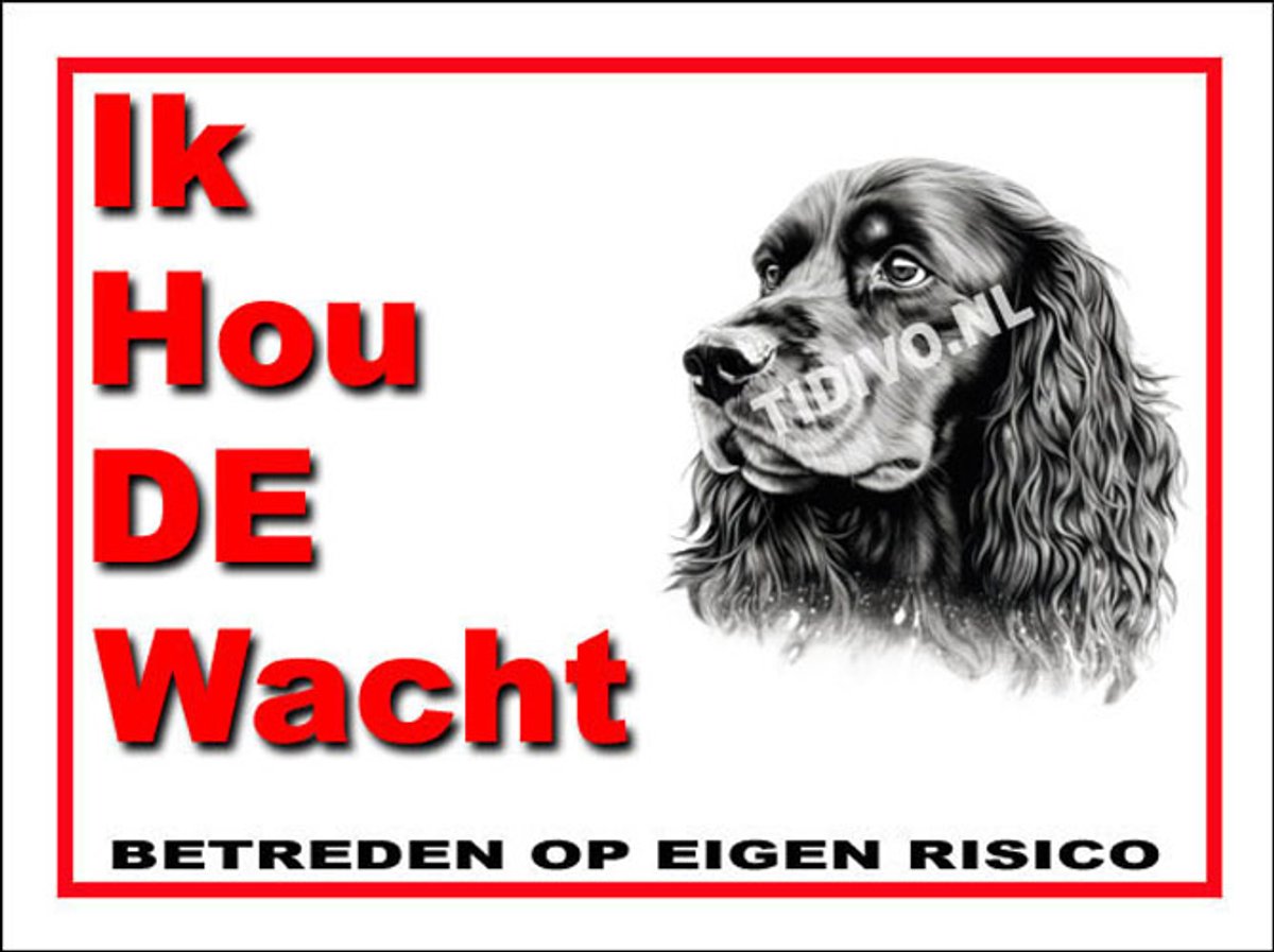 Ierse Water Spaniel 7