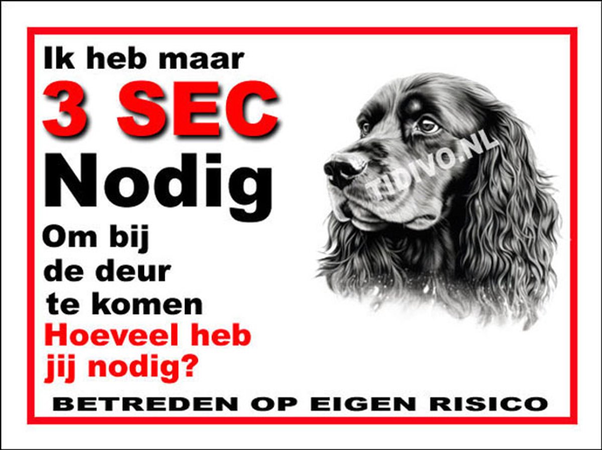 Ierse Water Spaniel 6