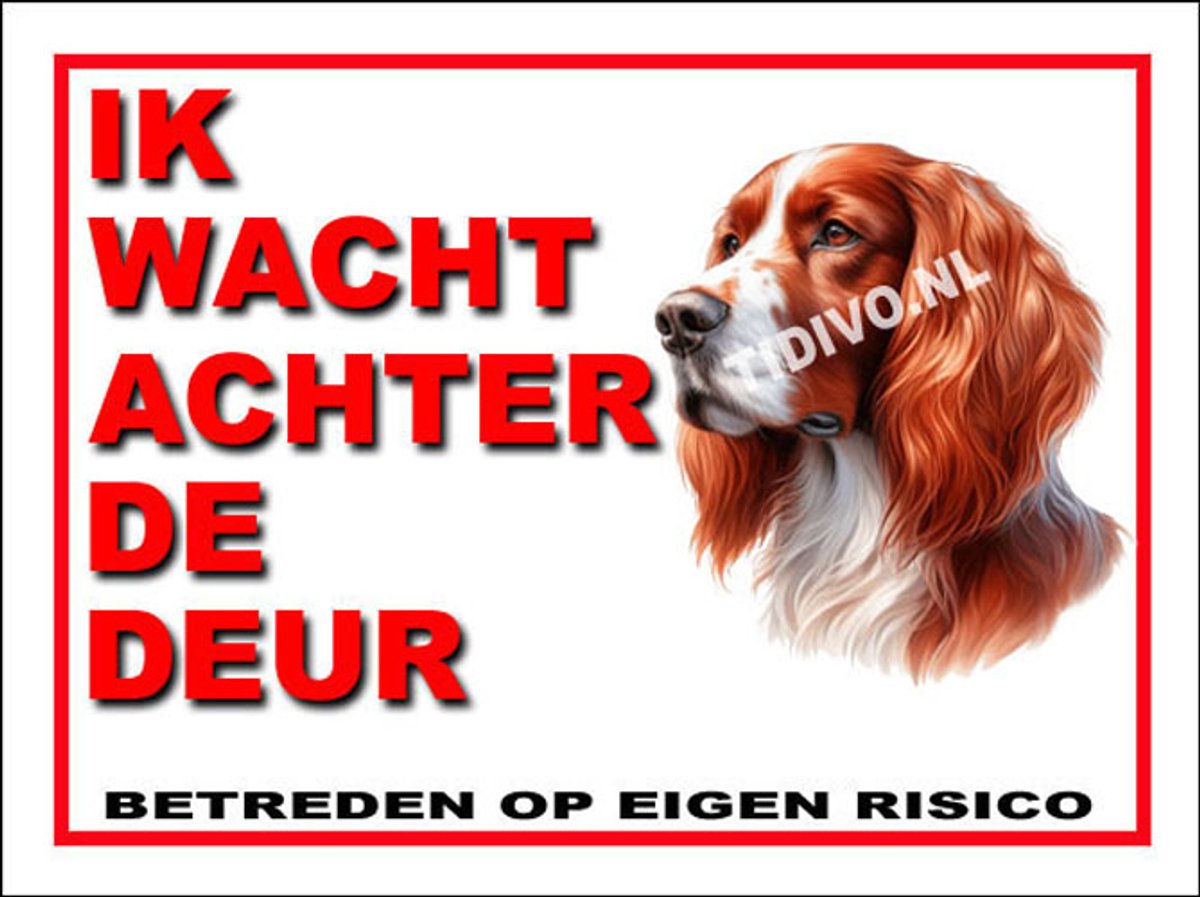 Ierse Setter 10