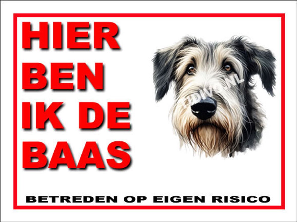 Ierse Wolfshond 2