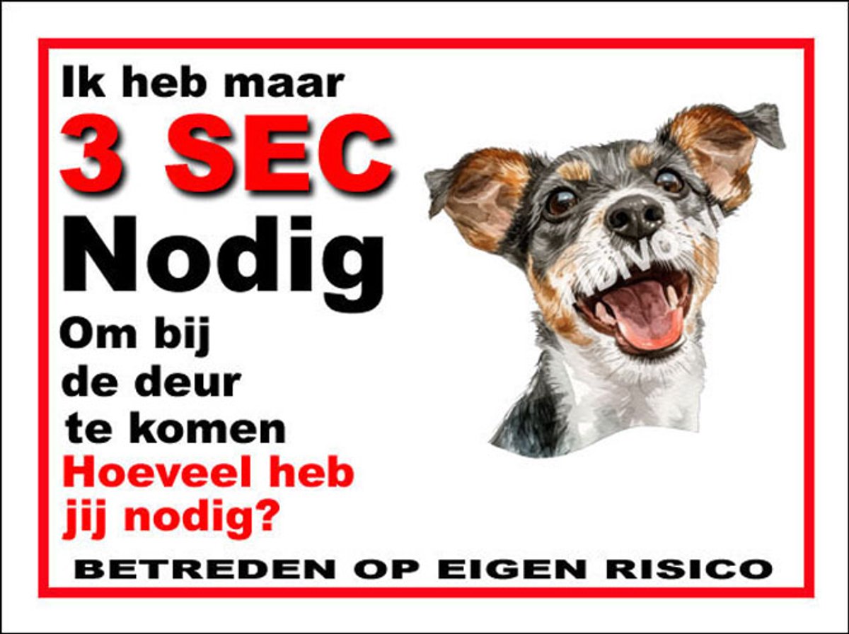 Japanse Terrier 6