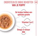 Brokjes met optimale grootte, vitamine C en E, en DHA voor puppy's.