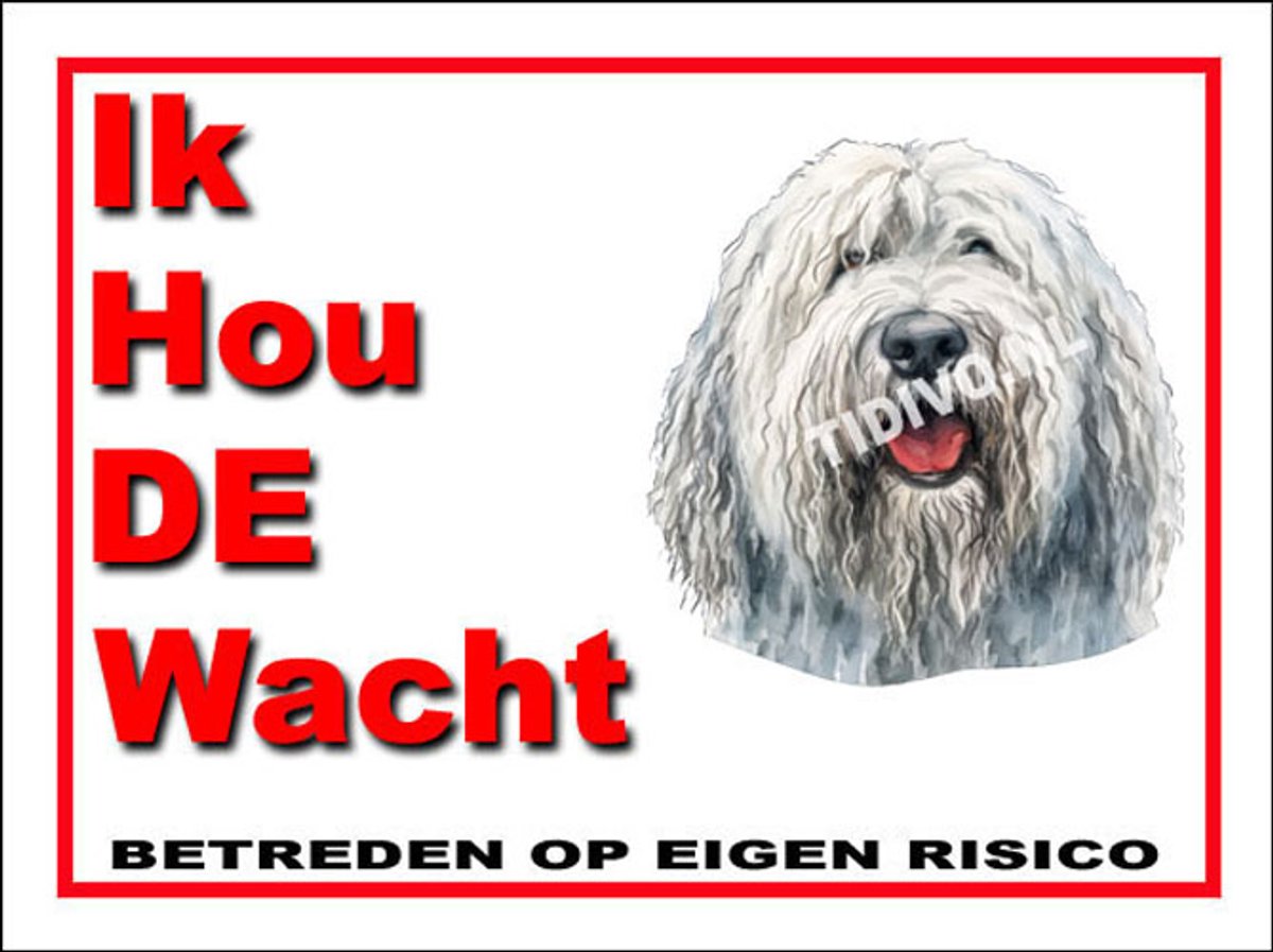 Komondor 7
