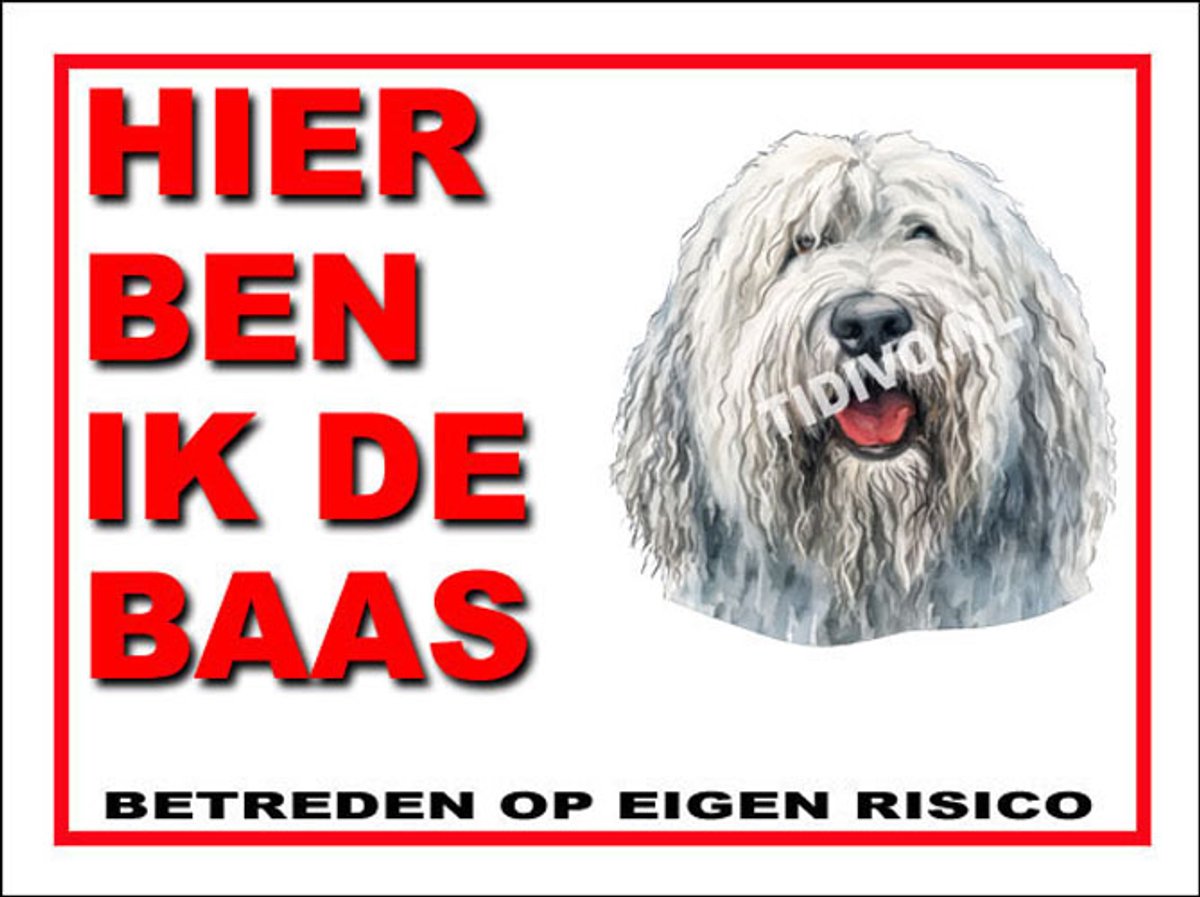 Komondor 2