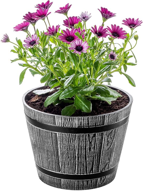 Moderne Plantenbak Crème KADAX Bloempot Kunststof - Rotan Look - 46,5 Cm Hoog - Crème - Met Inzetstuk - Vorstbestendig Grote Kunststof Plantenbak