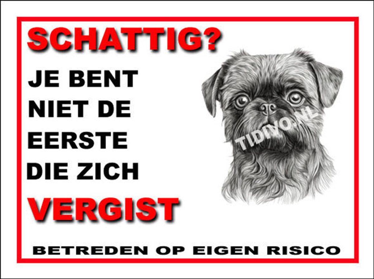 Griffon Brusselse 14