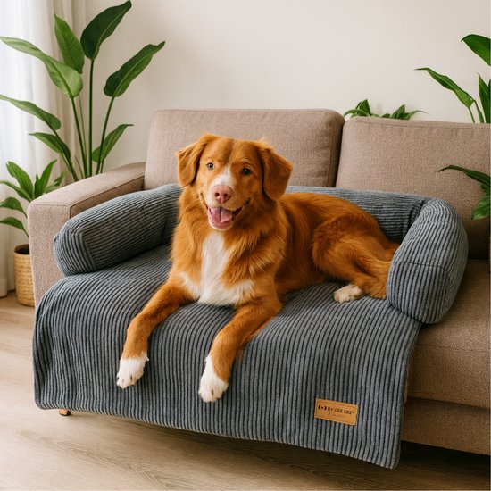 Bruine hond ligt op een grijze hondenbank van ribstof, op een bank. De bank heeft een label van By Cee Cee.