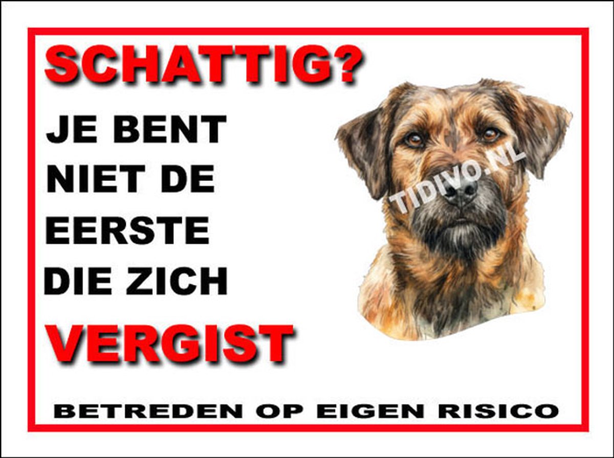 Kromfohrländer 14