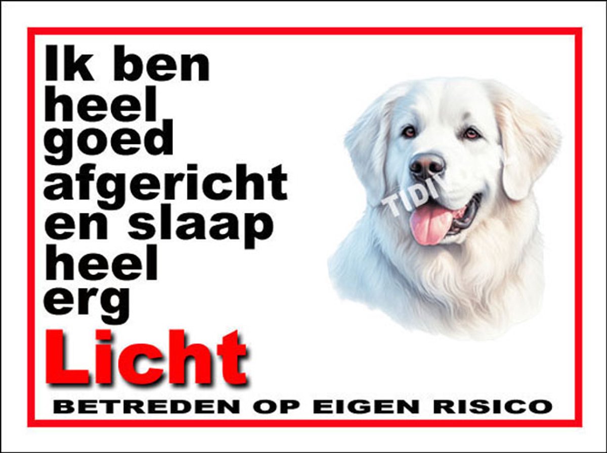 Kuvasz 4