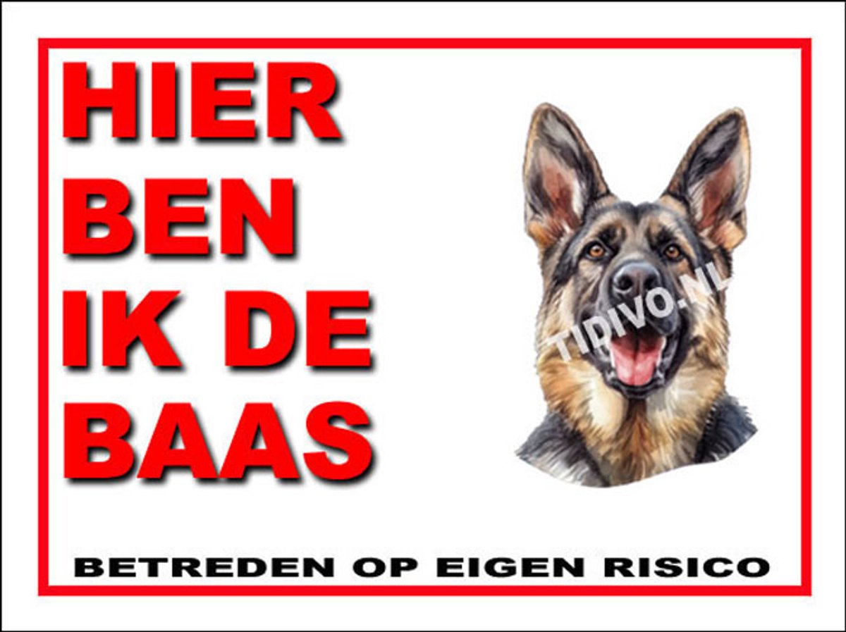 King Shepherd 2