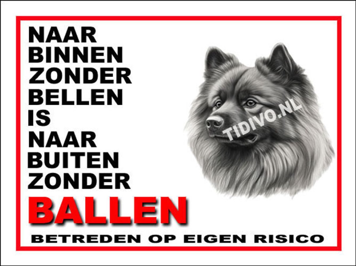 Keeshond 11