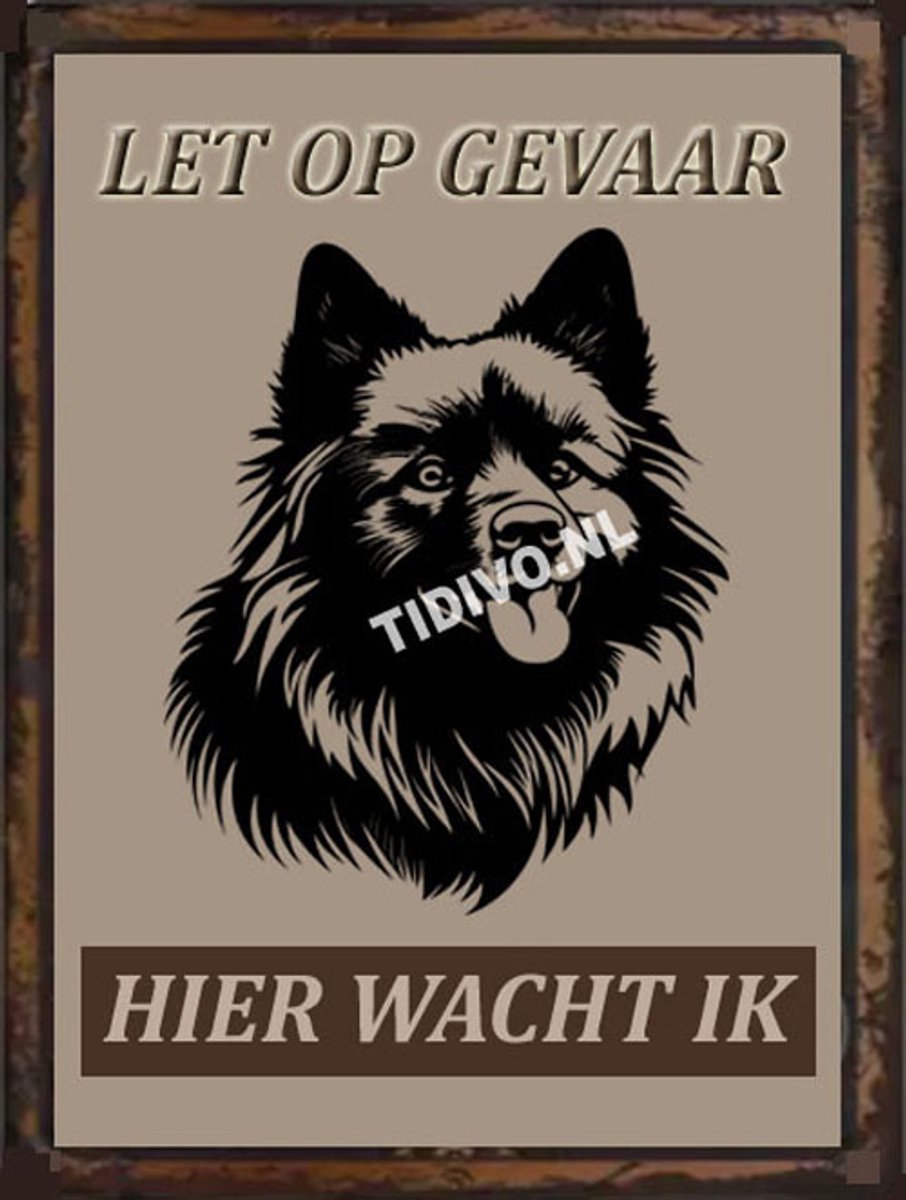 Keeshond 18