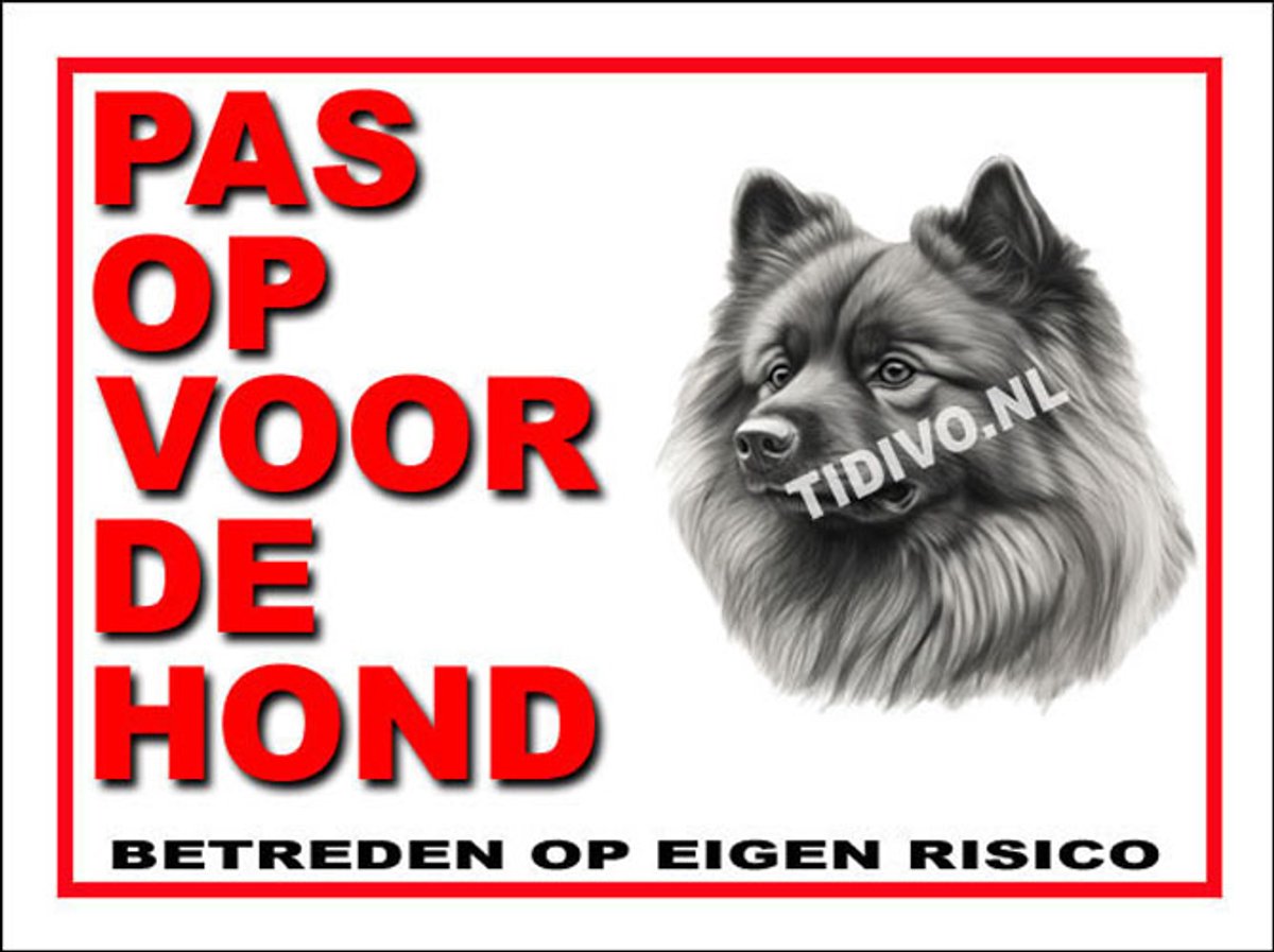 Keeshond 13