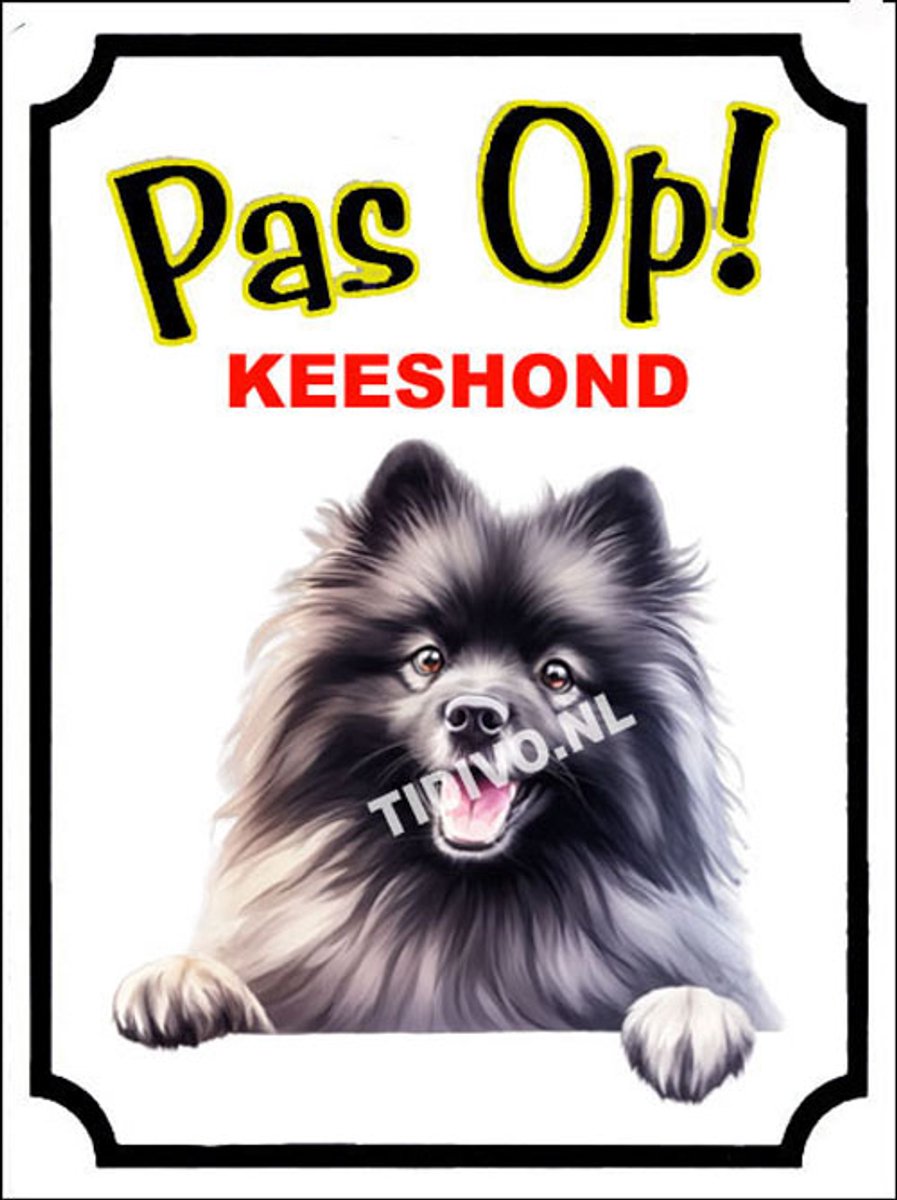 Keeshond 16