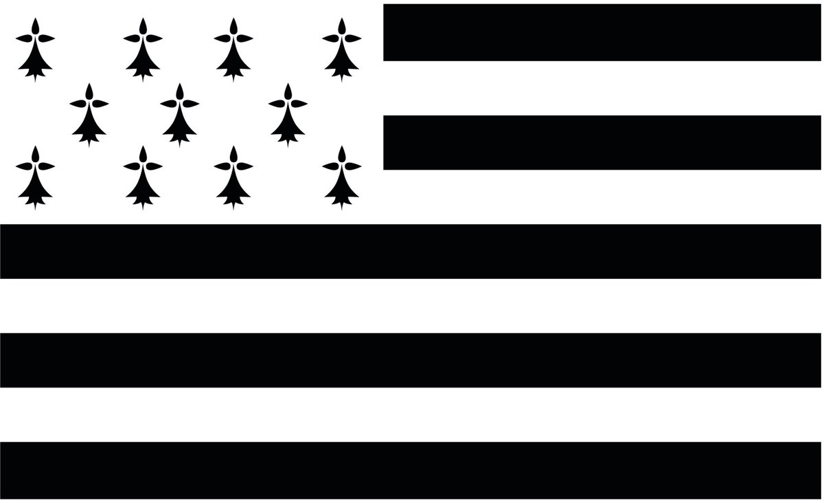 PTIT CLOWN - Bretagne supportersvlag 150 x 90 cm