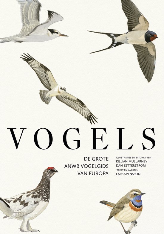 Vogels - cover