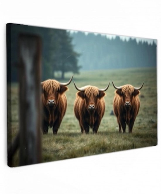 Canvas schilderij - Highland Trio - 60x40 cm - Abstracte kunst - Huis decoratie woonkamer - Koe muur schilderijen - Wanddecoratie accessoires - Kamer interieur natuur