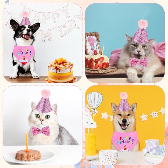 Leuke verjaardagskaart Let's Pawty roze kat Leuke verjaardagskaart Let's Pawty roze kat