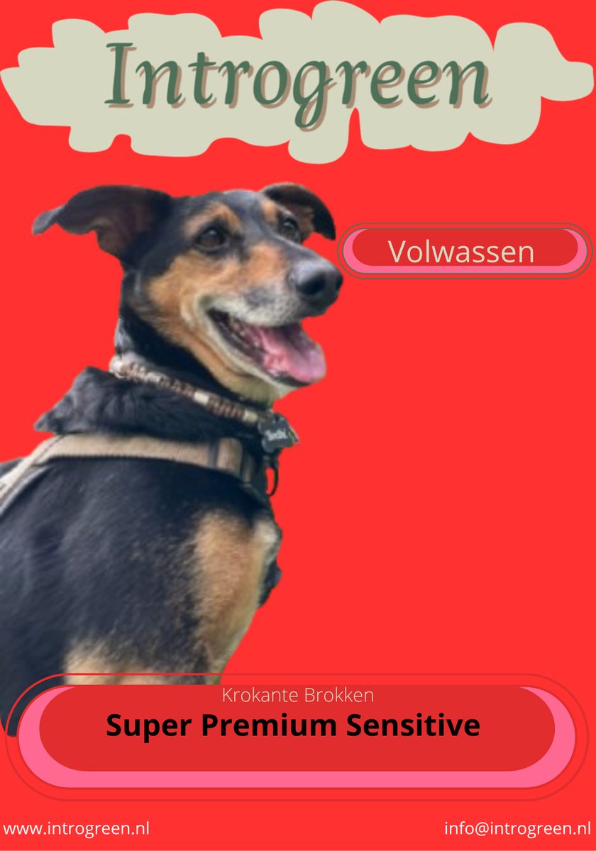 Super Premium Sensitive Hondenvoer – Hypoallergeen, Met Gehydrolyseerde Eiwitten Voor Gevoelige Honden 4 Kg