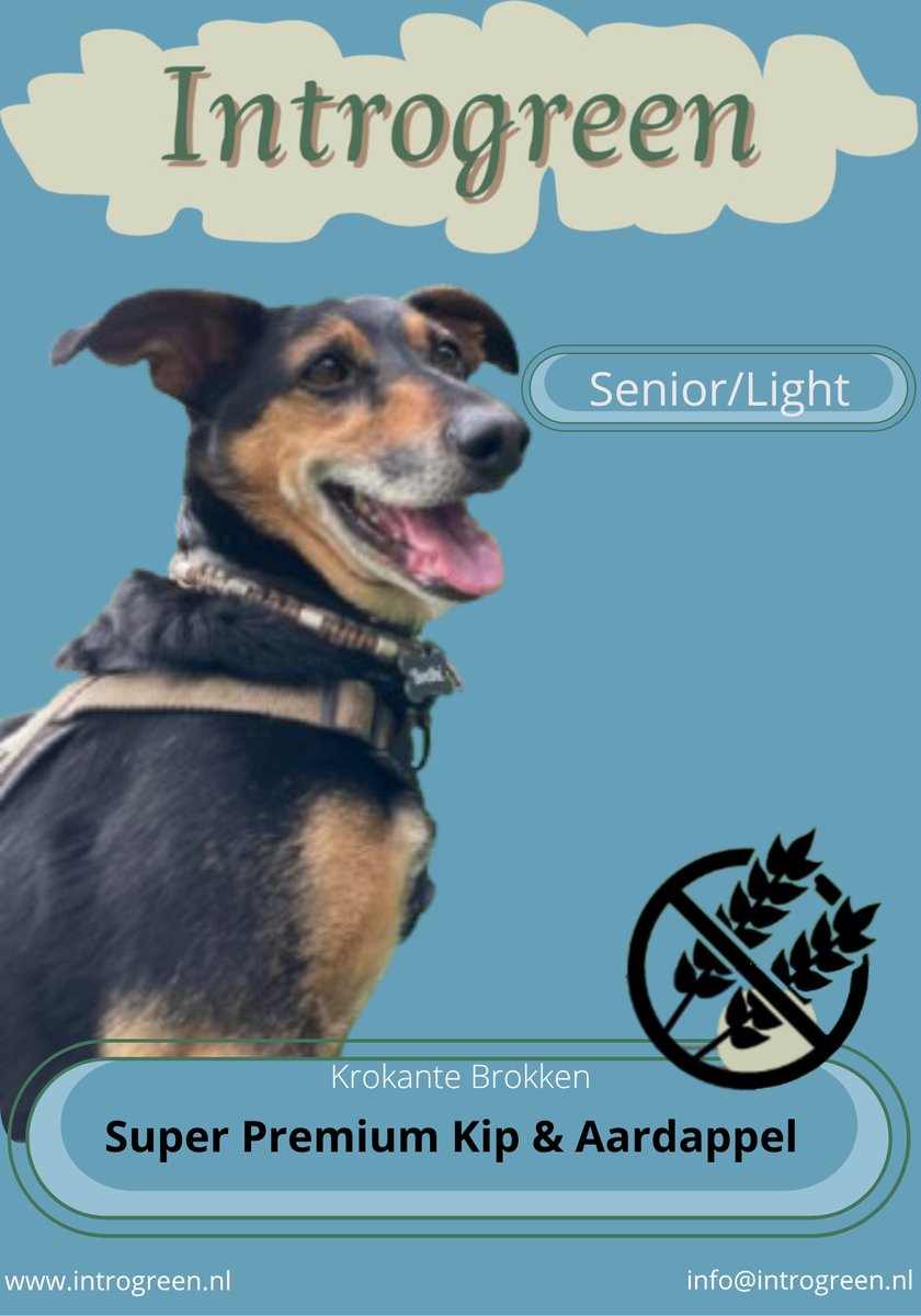 Introgreen Graanvrije Voeding met Kip & Aardappel voor Oudere en Honden en honden met overgewicht - 4 Kg Super Premium Senior/Light