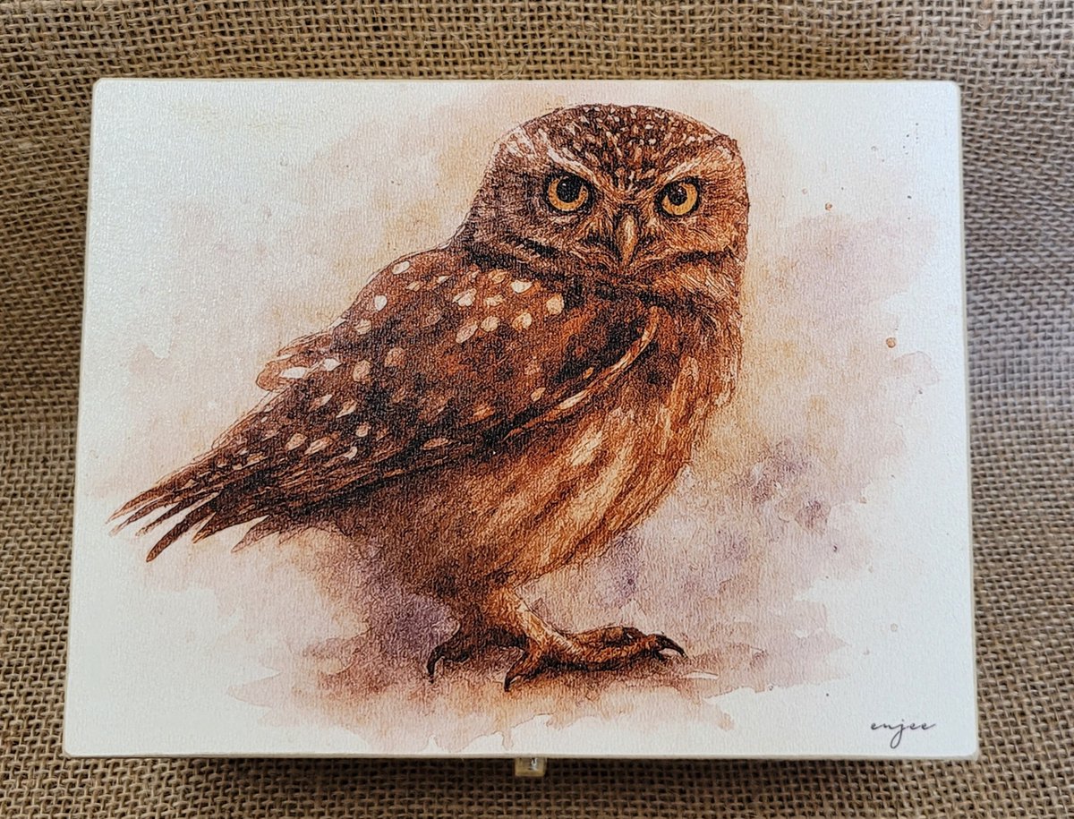 Theedoos met aquarel print uil - 9-vakken - theedoos van hout - theebox van hout - theebox met aquarel uil - theebox uil - theedoos uil