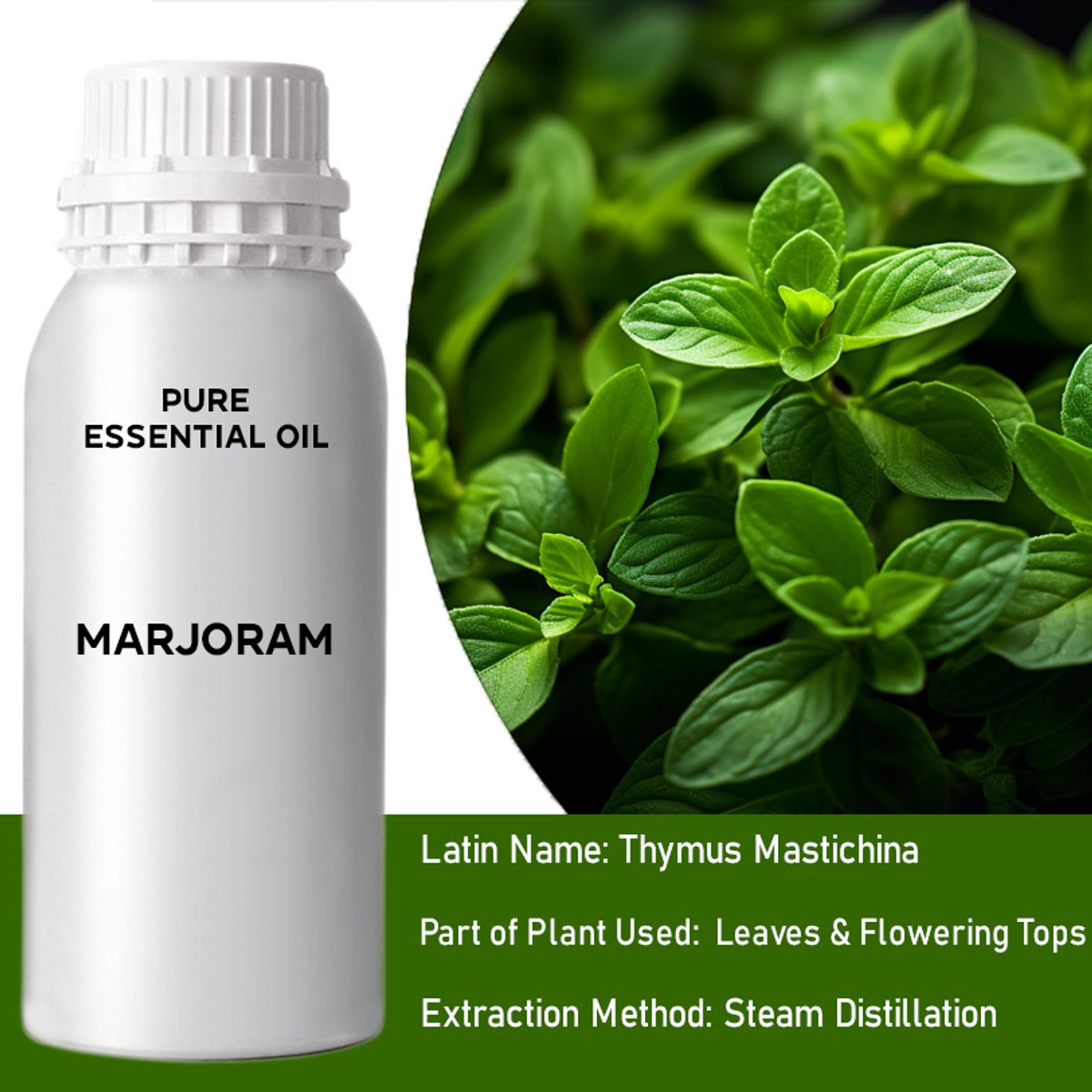 Marjolein Etherische Olie – 0,5 kg – Ancient Wisdom – Aromatherapie & Cosmetica