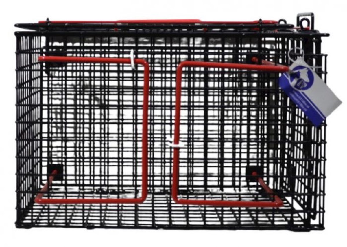 Professionele Transport- & Dwangkooi voor Katten en Kleine Dieren – Zwart – Met Boven- en Zijpaneel – Lichtgewicht & Diervriendelijk