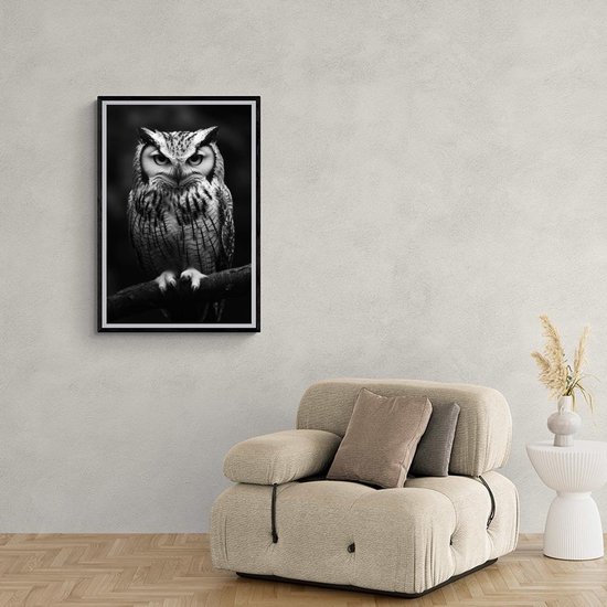 Hibou Poster | Noir|Wit Affiche | Animaux Poster | Affiche Nature | Vogel Poster | Photographie Affiche | Affiche sur la faune | 60x90cm | Décoration murale | Affiche murale | 5401KMD | Convient pour l'encadrement