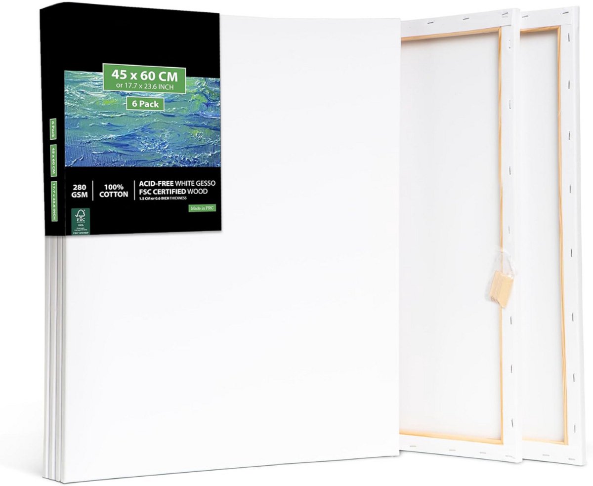 DailySupplies® Schildersdoek Groot - Canvas - 45x60CM