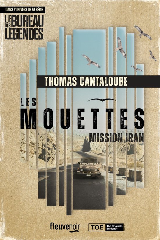 Les Mouettes - Mission Iran - Un thriller dans l'univers de  ... - cover