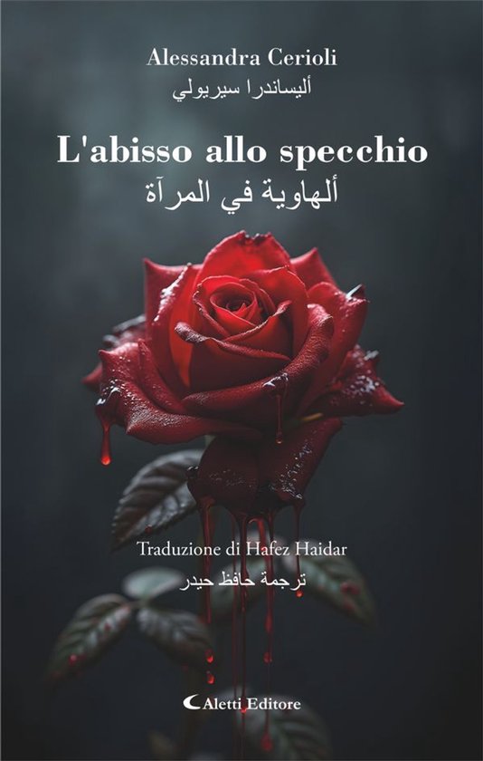 L'abisso allo specchio - cover