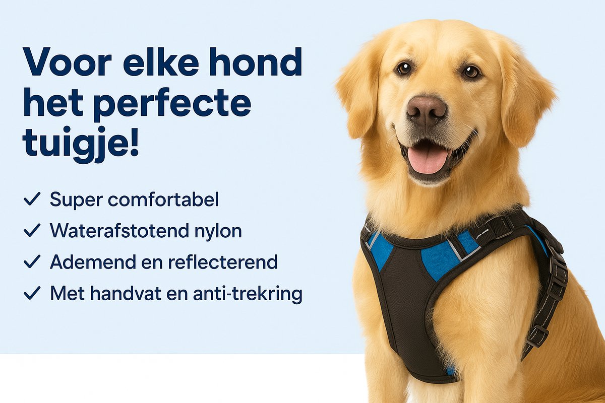 Hondentuig Balou Zwart M 50-65 cm x 25 mm