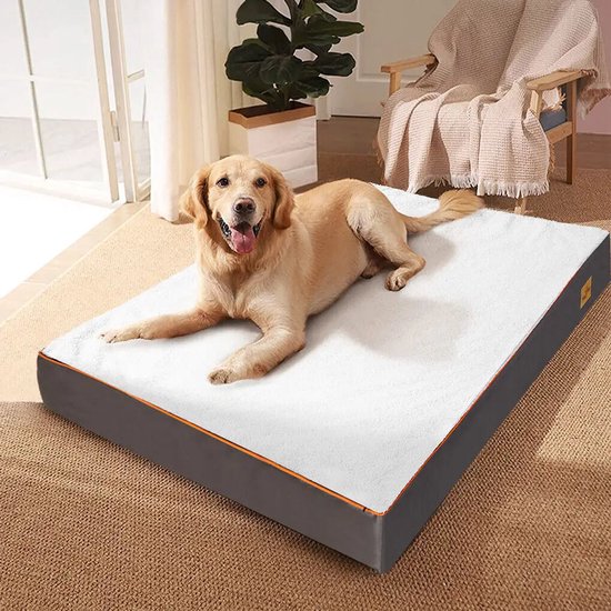 BingoPaw Panier Chien Déhoussable Canapé Chien XL Matelas Orthopédique, 120 x 90 x 25 cm