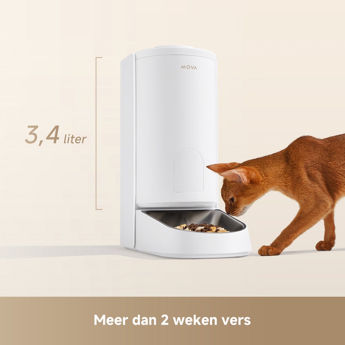MOVA PF10 Pro - Automatische Voerautomaat voor Katten en - afbeelding 2