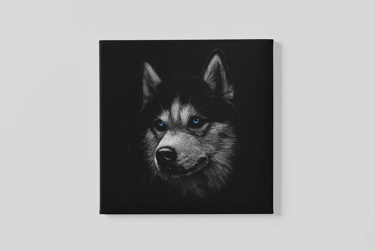 Trendex Global Vierkant Canvas Schilderij - Hond - Husky - Dieren - Print op Canvas - 40x40x2 cm Zwart