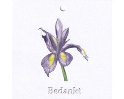 Bloemenkaartjes - 25 Stuks - Mini Kaartjes - 25 stuks - 7 x 7 cm - Bloemist - Kadootjes - Bedankt - JK-158