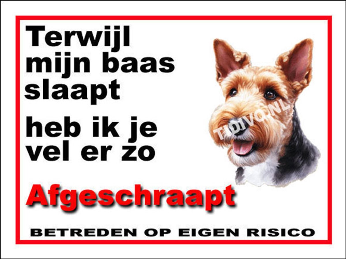 Welsh Terrier 15