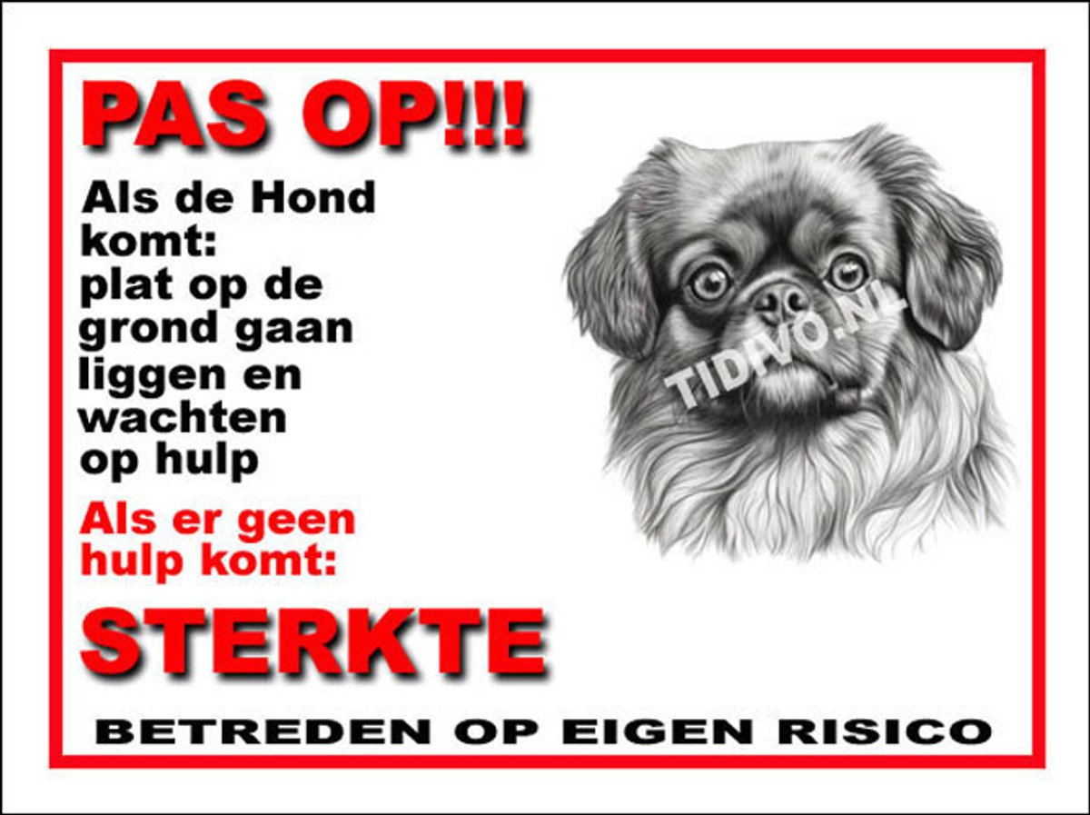 Tibetaanse Spaniel 12