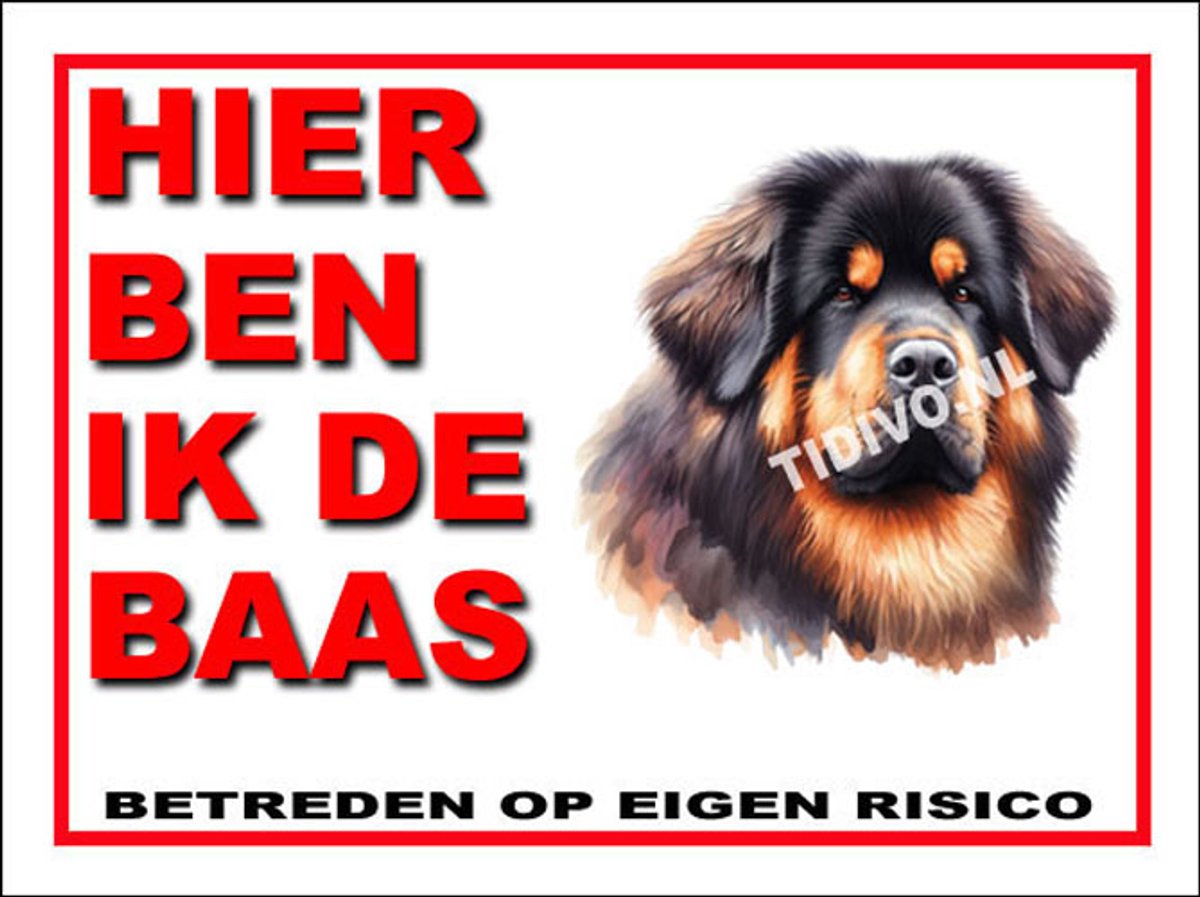 Tibetaanse Mastiff 2
