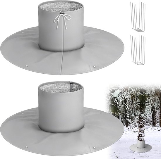 Winterharde palmboom in de tuin voor een tropisch gevoel... - 100