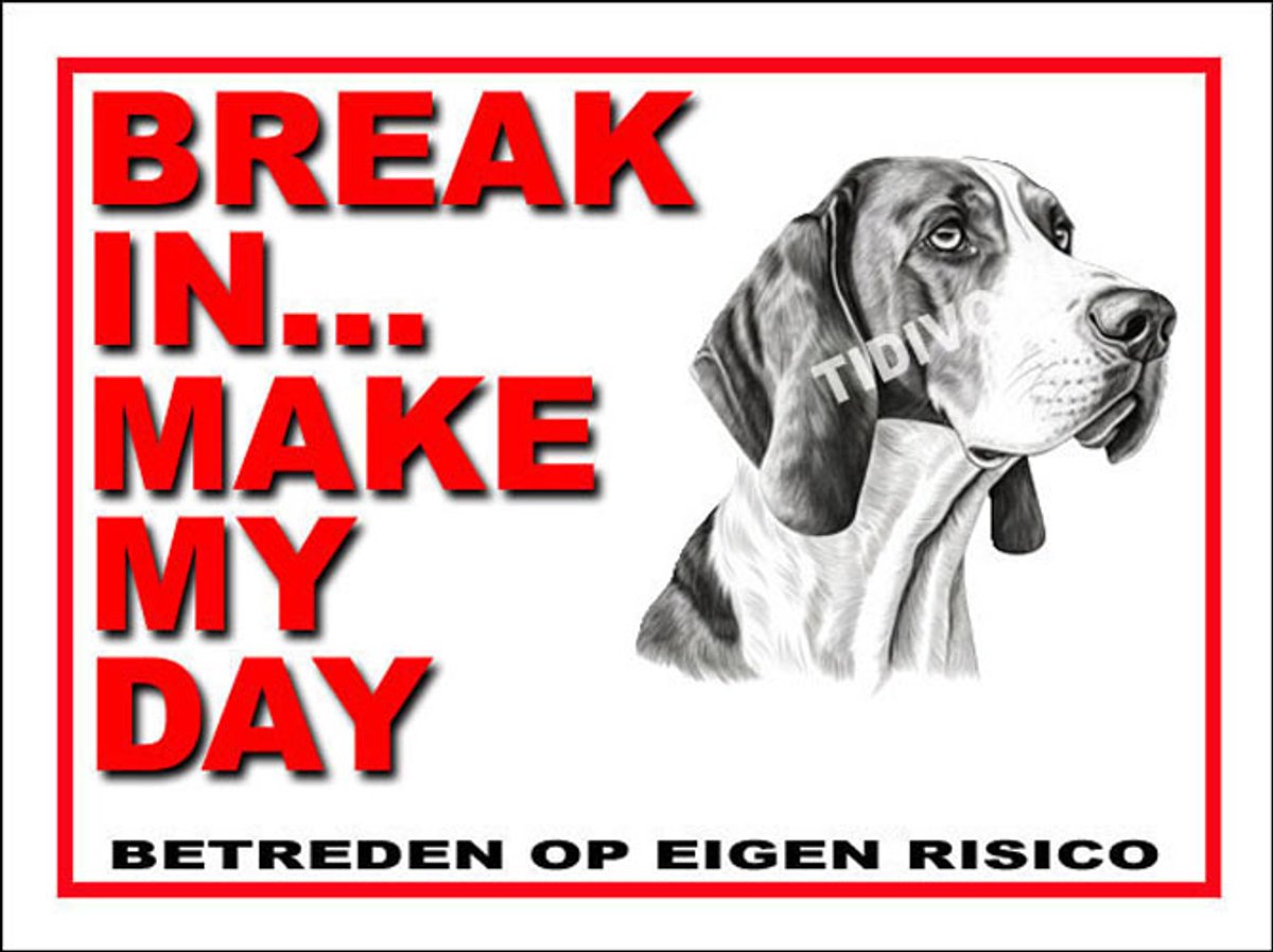 Treeing Walker Coonhound 1