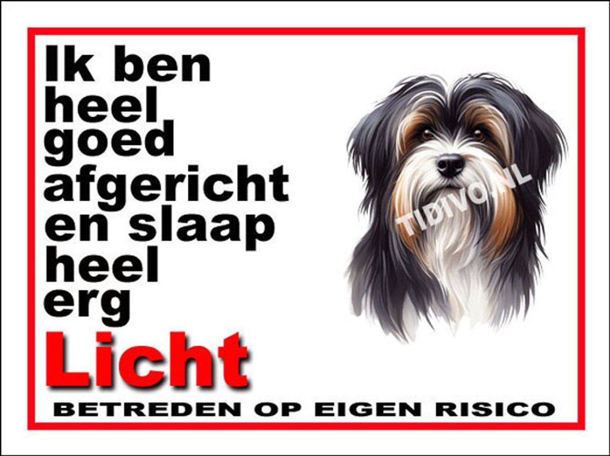 Tibetaanse Terrier 4