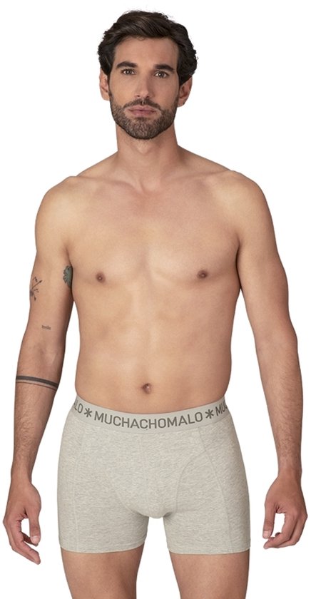 Man draagt lichtgrijze boxer met grijze band met logo.