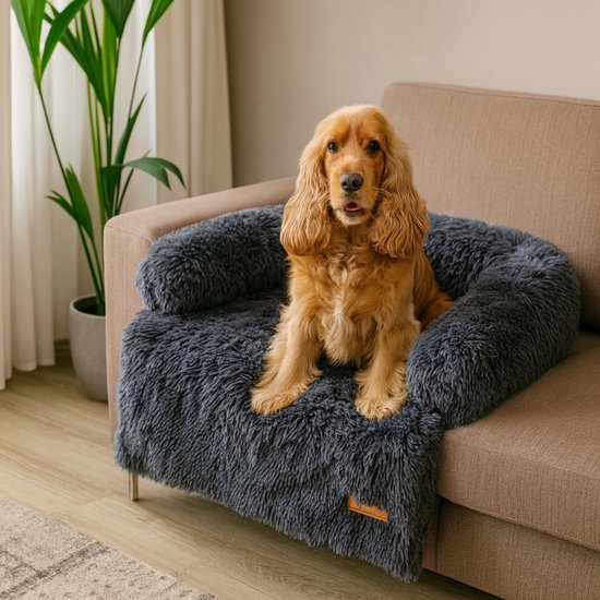 Cocker Spaniel zit op een donkergrijs, pluizig hondenkussen op een bank.