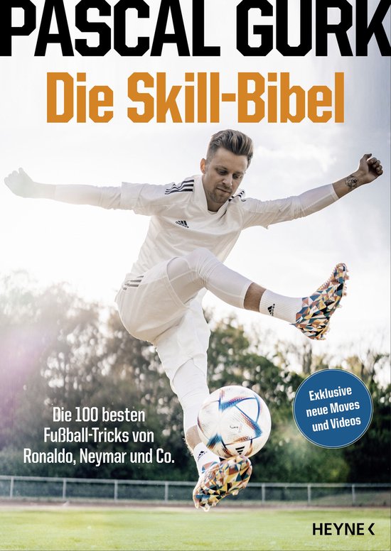 Die Skill-Bibel - cover