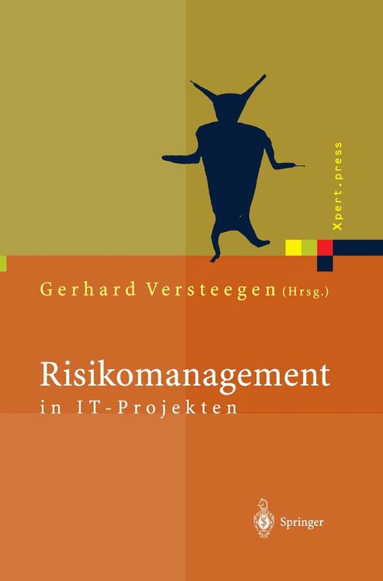 Risikomanagement in IT-Projekten - cover
